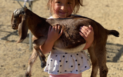 Welcome to Prancing Pony Dairy Goat’s New Home on the Web!